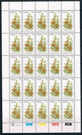 Transkei 1981 Plants/Nature UMFINCAMFINCANE Sheet Of  25 MNH 5C MEDICINE PLANTS  MNH - Piante Medicinali