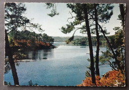 CPM 29 LA LAITA à Marée Haute Près Du Pont Saint Maurice ( CLOHARS CARNOET ) - Ed. JOS - Réf. E 200 - Clohars-Carnoët