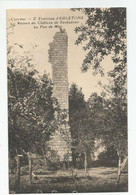 19 Corrèze Env D'égletons Ruines Chateau De Ventadour Le Pan Du Mur - Egletons