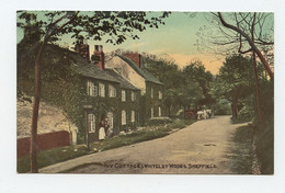 SHEFFIELD, Ivy Cottages, Whiteley Woods   ( 2 Scans ) - Sheffield