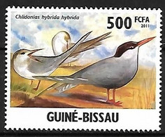 Guinea  Bissau - MNH ** 2011  : Whiskered Tern   - Chlidonias Hybrida - Mouettes