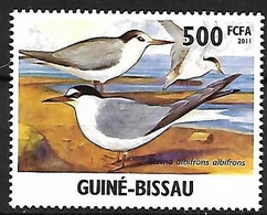 Guinea Bissau - MNH ** 2011  :  Little Tern  -  Sternula Albifrons - Gaviotas