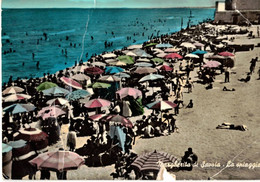 MARGHERITA DI SAVOIA - LA SPIAGGIA  (FG) - Foggia