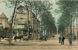 Charmes Sur Moselle * Rue Et Entrée De La Commune * Côté De La Gare * Attelage - Charmes