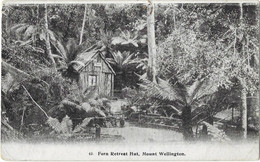 TASMANIE  -- Fern Retreat Hut, Mount Wellington - Other & Unclassified