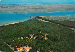 Delcampe - CPSM La Tremblade-Ronce Les Bains-Vacances PTT   L394 - La Tremblade