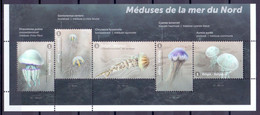 2021 - ** Kwallen In De Noordzee ** 1/2 Vel - Unused Stamps