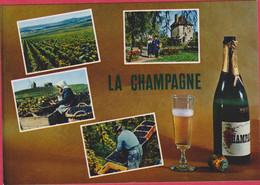 LA CHAMPAGNE - Champagne - Ardenne