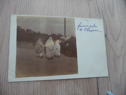 Carte Photo Algérie Algeria Tlemcen Femmes Arabes Voilées - Tlemcen