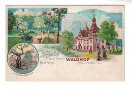 DG1470 - WALDHOF - WELLINGSBÜTTEL - LITHO PC Mit DEUTSCHLANDSE ÄLTESTE EICHE - Autres & Non Classés