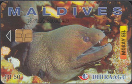 Maldiven - Chip -187MLD...  Moray Eel - RF50 - GPT1 - Number On Front - Maldive