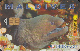 Maldiven - Chip -274MLDGIA  Moray Eel - RF50 - GPT2 - Number On Front - Maldivas