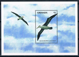 Bloc Sheet  Oiseaux Albatros  Birds Albatross  Neuf  MNH **  Grenada 1998 - Non Classés