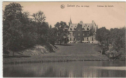 Tinlot - Château De Soheit - Tinlot