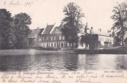 Jodoigne-Souveraine - Château - Circulé En 1905 - Dos Non Séparé - TBE - Jodoigne