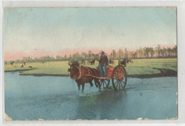 Italie Italia Italy Piemonte Alessandria Cachet Morsasco 1916 ,paysan Traversant La Rivière En Charrette Attelage Cheval - Alessandria