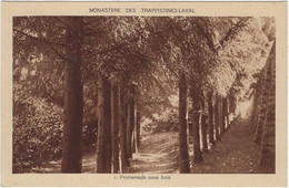 38   Laval  - Environs De Grenoble  - Monastere Des Trappistines - Laval   - Promenade Sous Bois - Laval