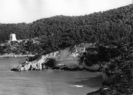 Costa Del Gargano - REAL PHOTO - Veduta - Foggia - Puglia - Italia - Foggia