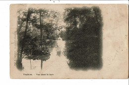 CPA Carte Postale- Belgique-Tieghem Vue Dans Les Bois Début 1900VM28898ha - Anzegem