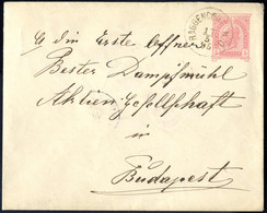 Cover "RAGGENDORF N. Ö. 17 / 5 / 95", Einkreisstempel Auf Umschlag 5 Kr. 1890 Nach Budapest, Pracht (Klein 15P.) - Machines à Affranchir (EMA)