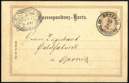 Cover "ROSENAU AM SONNTAGSBERGE 20 / 5 / 95", Einkreisstempel Auf KK 2 Kr. 1890 Nach Opponitz, Pracht (Klein 8P.) - Machines à Affranchir (EMA)