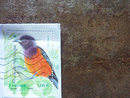 2020  Oriole De Martinique  Oblitéré - Used Stamps