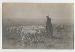 Cpa Salon Bromure  De 1913 Paysage De Sologne Moutons Bergère D'albert Charpin - Pintura & Cuadros