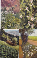 118 Cards Medicinal Plants; Ed. Gehe & Co.,Dresden  Arznei - Planzen Aus Jahre 60  Serie Complet (?) Unused - Piante Medicinali