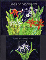 Montserrat 2007, Lilies Of Montserrat, Two MNH S/S - Montserrat