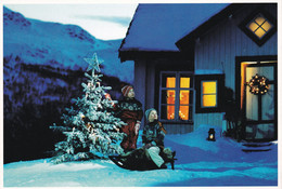 NORVEGIA 2006 CARTOLINA MAX 17.11.2006 - Tarjetas – Máximo