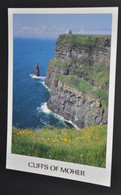 Cliffs Of Moher - Clare