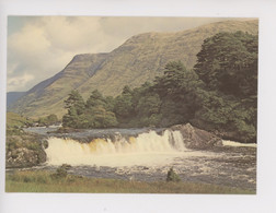 Ireland - Co Mayo - Aasleagh Falls, Erriff River (cp Vierge) - Mayo