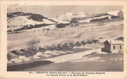 Megève           74          Elevage Du Renard Argenté      (voir Scan) - Megève