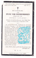 DP Sylvie Van Overdenborger 32j. ° Heiende Lokeren 1904 † 1930 X Petrus Lenaert - Imágenes Religiosas