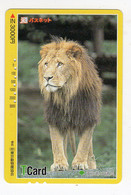 JAPON  ANIMAUX CARTE DE TRANSPORT LION - Oerwoud