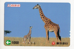JAPON  ANIMAUX CARTE DE TRANSPORT GIRAFE - Oerwoud