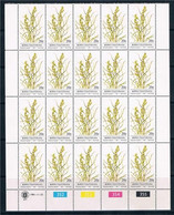 Bophuthatswana 1981 Plants//Nature ERAGROSTIS CAPENSIS  Sheet Of  20  MNH - Bofutatsuana