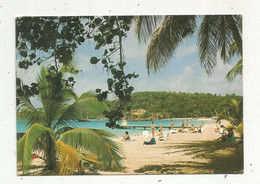 JC , G, Cp , GUADELOUPE , Plage De La CARAVELLE ,voyagée 1989 - Autres & Non Classés