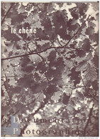 La Documentation Photographique: Le Chêne - Géographie