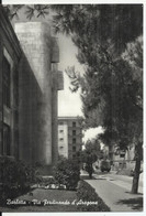 BARLETTA 1957 - VIA FERDINANDO D'ARAGONA - Barletta