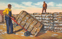 Amérique - Etats-Unis - Bales Of Cotton Ready For Shipment - Empilage Des Bales De Coton - Other