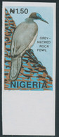 NIGERIA 1990 Wildlife 1 N. 50, Greynecked Rock Fowl - White-headed Black Crow UM - Nigeria (1961-...)