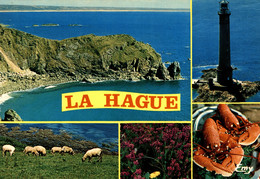 N°80043GF -cpsm La Hague -le Phare De Goury- Homard- - Lighthouses