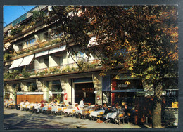 ZURICH - Restaurant Frascati, Wienerwald (carte Vierge) - Wald