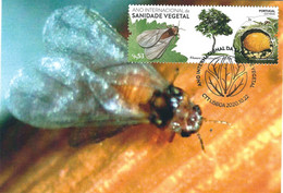 Maximum Card: Sanidade Vegetal "Insectos" - Maximumkaarten