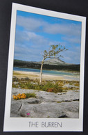 The Burren - Clare