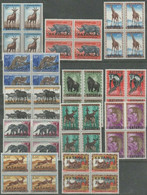 Katanga - 6/17 - Blocs De 4 - Animaux - 1960 - MNH - Katanga