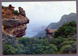 °°° Cartolina - Marettimo Caprarizza Con Veduta Di Punta Basano Viaggiata (l) °°° - Trapani