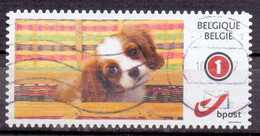 België - Duostamps  - Honden - Zonder Papierresten - Afgestempeld