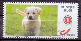 België - Duostamps  - Honden - Zonder Papierresten - Afgestempeld